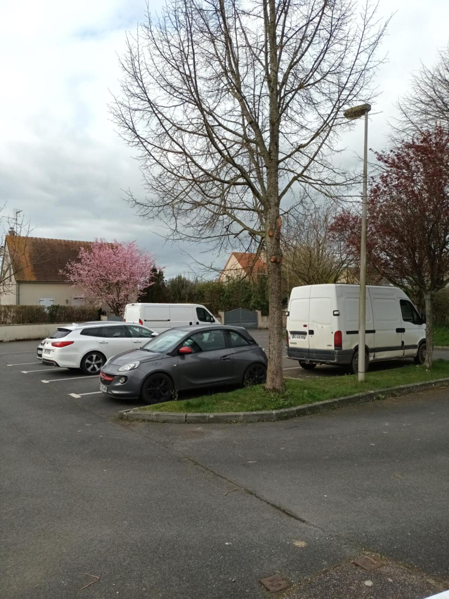 Appartement Tout Confort Le Fresne-Camilly Zewnętrze zdjęcie