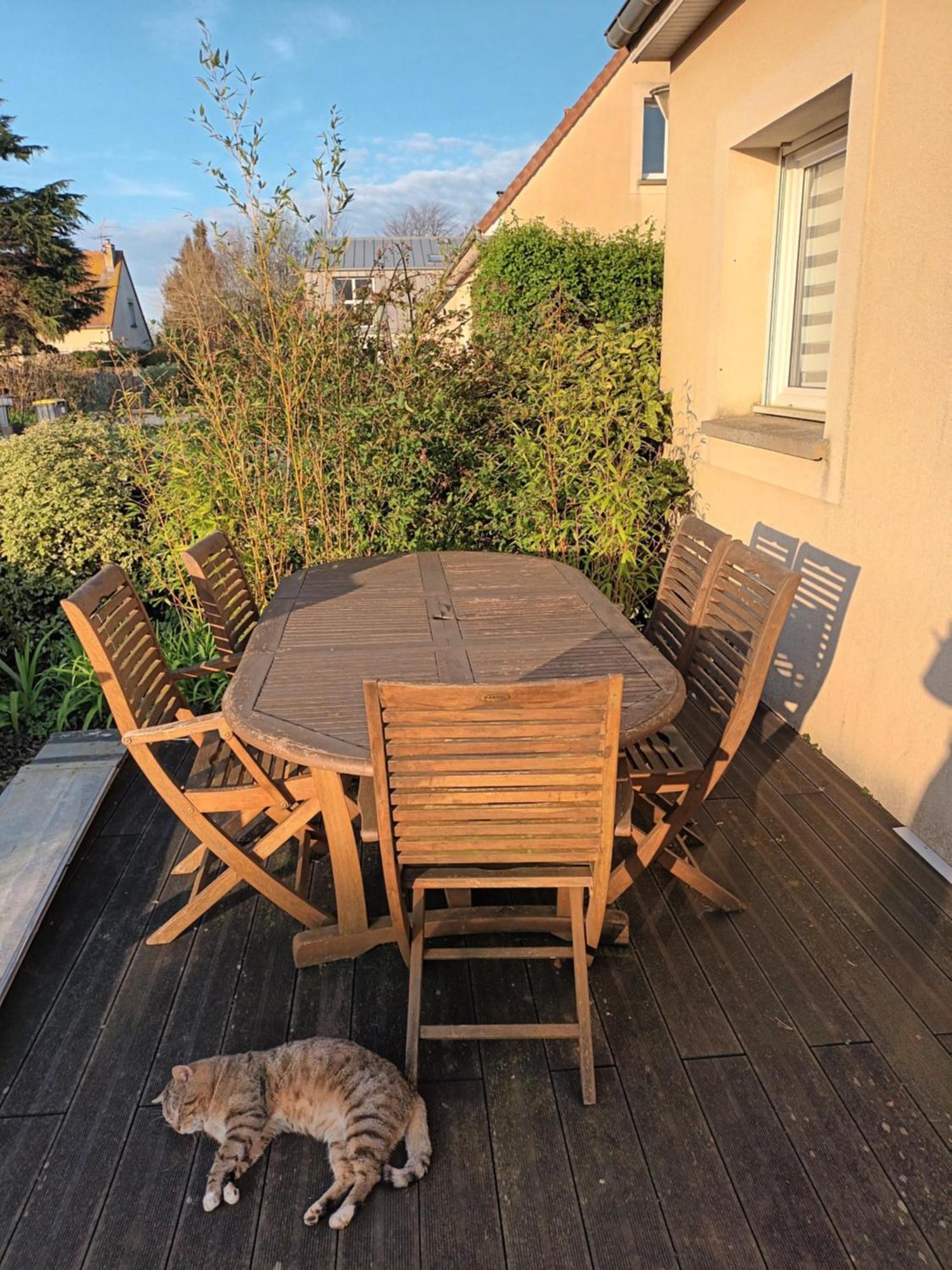 Appartement Tout Confort Le Fresne-Camilly Zewnętrze zdjęcie
